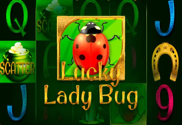 Get started with Spicy Casino Login Free Spins today.