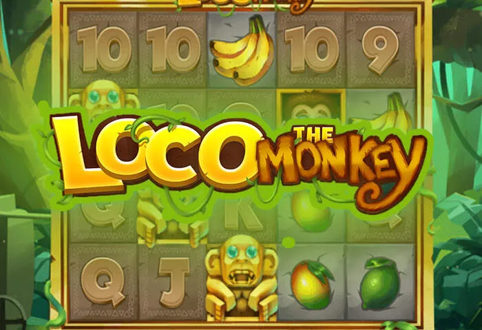 Nuovi Giri Gratuiti e Bonus di Ricarica Spicy Casino disponibili.
