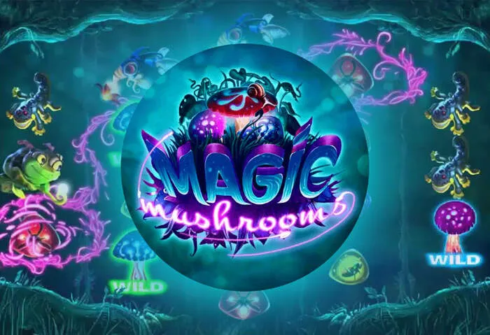 Secure your account at Spicy Casino Login Page.