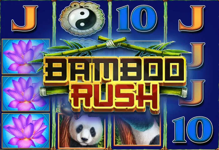 Gran selección de juegos en Spicy Casino.