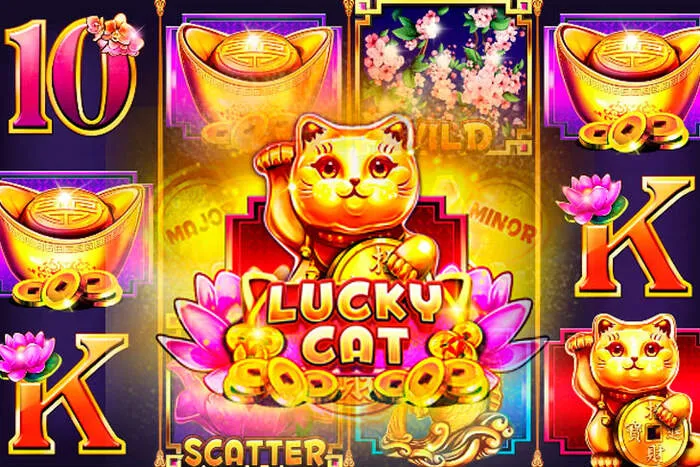 Gran variedad de máquinas tragaperras y juegos de mesa en casinos picantes online
