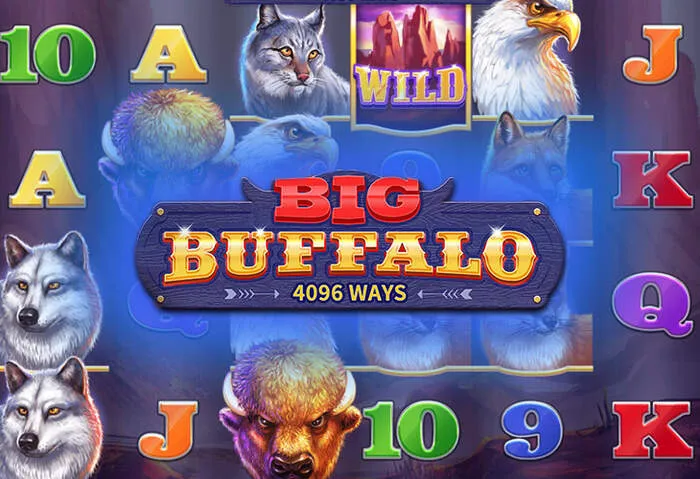 Votre avantage Code Promo Spicy Casino