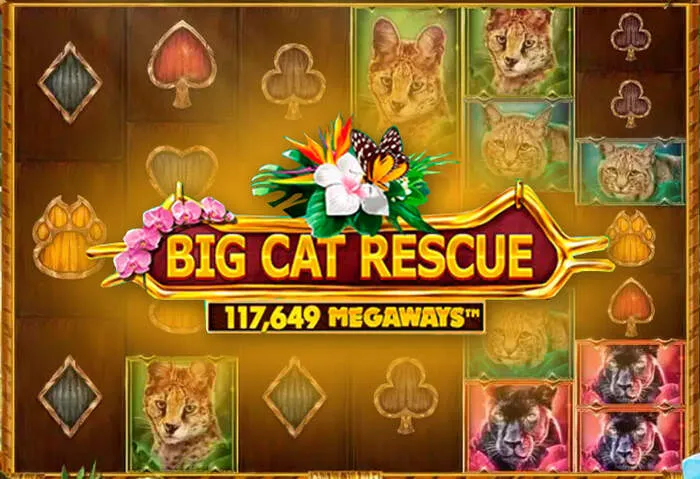 Lisez nos meilleurs Avis Jeux de Casino Épicés.