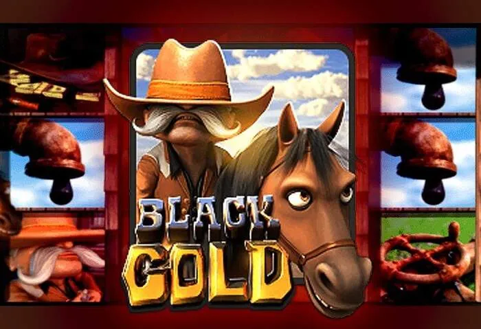 Pagina di Accesso Spicy Casino interfaccia utente pulita e sicura